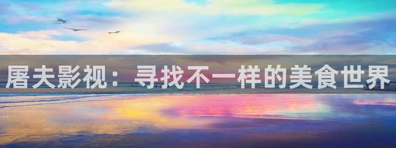 神马午夜电影网在线观看